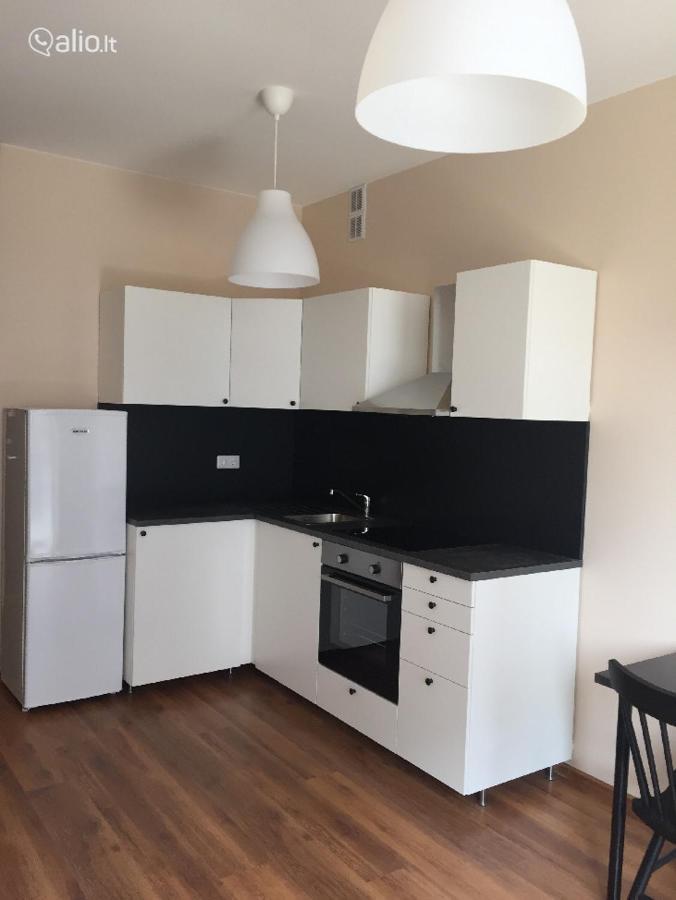 Close To Panorama Center Apartment Self Check-In Garage Free VNO Eksteriør bilde